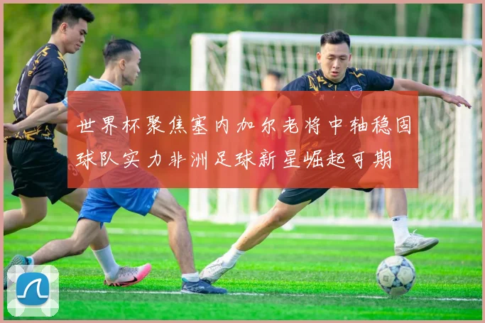 世界杯聚焦塞内加尔老将中轴稳固球队实力非洲足球新星崛起可期